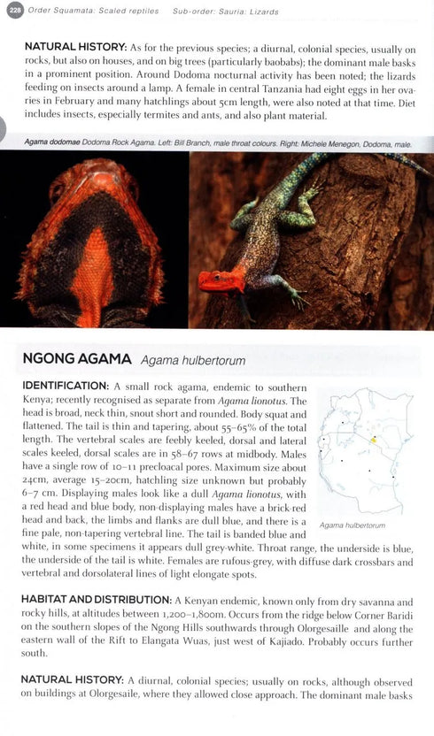 Field Guide to East African Reptiles - Steve Spawls 2018