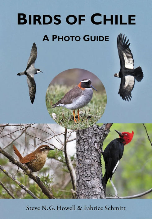Birds of Chile - A Photo Guide - Howell,S. 2018
