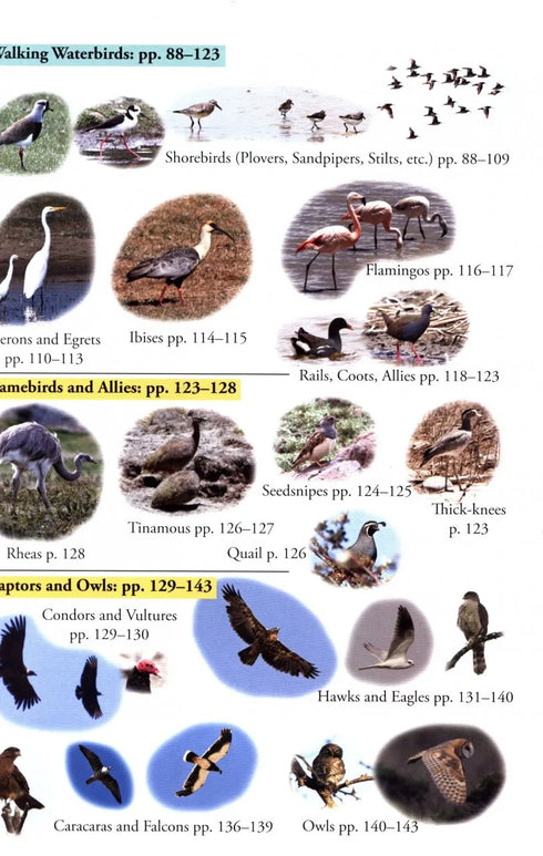Birds of Chile - A Photo Guide - Howell,S. 2018