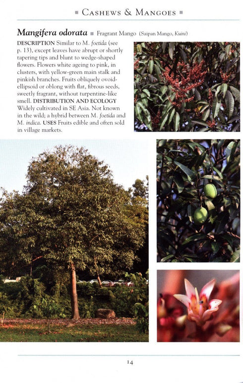 Naturalist’s Guide to the Trees of Southeast Asia (Guan) 2019