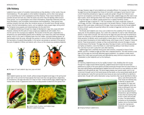 Field Guide to the Ladybirds of Britain and Ireland - Roy,H. 2018