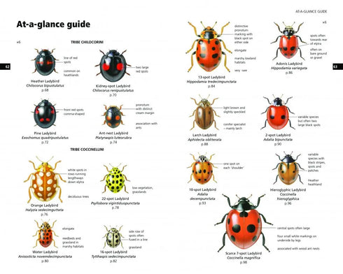 Field Guide to the Ladybirds of Britain and Ireland - Roy,H. 2018