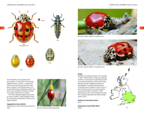 Field Guide to the Ladybirds of Britain and Ireland - Roy,H. 2018