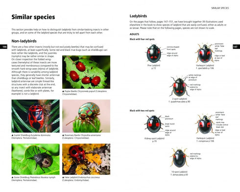 Field Guide to the Ladybirds of Britain and Ireland - Roy,H. 2018