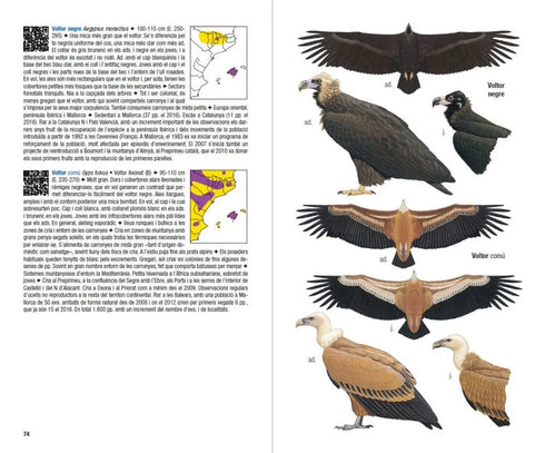 Ocells de Catalunya, País Valencià i Balears: Inclou també Catalunya Nord, Franja de Ponent i Andorra - Estrada,J 2014