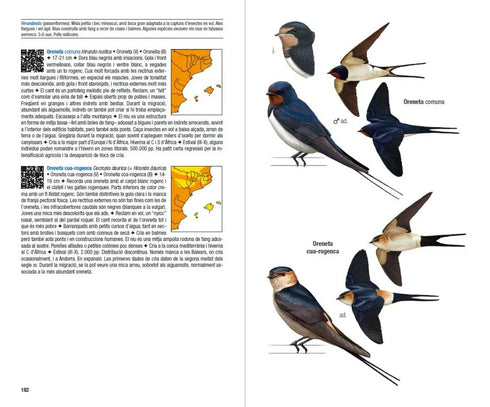 Ocells de Catalunya, País Valencià i Balears: Inclou també Catalunya Nord, Franja de Ponent i Andorra - Estrada,J 2014