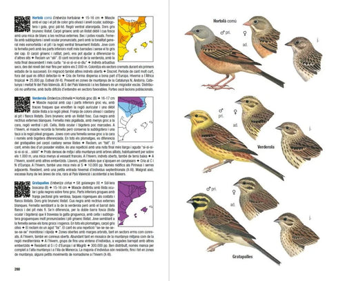 Ocells de Catalunya, País Valencià i Balears: Inclou també Catalunya Nord, Franja de Ponent i Andorra - Estrada,J 2014