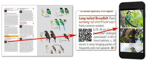 Birds of Thailand - flexi, Treesucon 2018