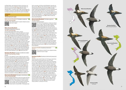 Birds of Vietnam ( Richard Craik, Lê Quý Minh 2018) kovakantinen