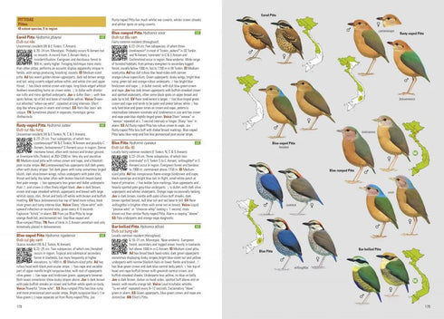 Birds of Vietnam - Richard Craik, Lê Quý Minh 2018 Flexi kantinen