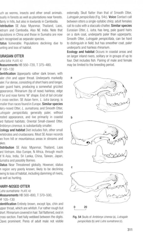 Field Guide to the Mammals of South-East Asia - 2. ed. Charles M. Francis 2019