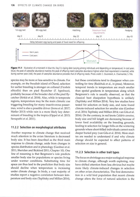 Effects of Climate Change on Birds (Møller)