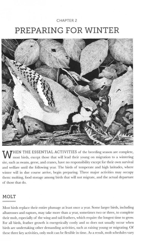 Birds in Winter Surviving the Most Challenging Season (Pasquier)