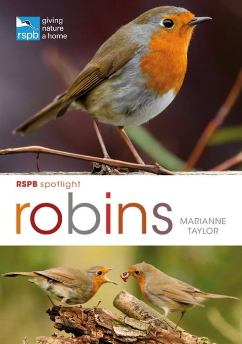 RSPB Spotlight: Robins - Taylor,M. 2019