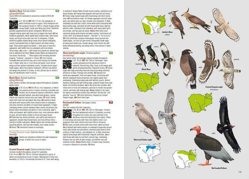 Birds of Cambodia (Cambodia Bird Guide Association, 2019) kovakantinen