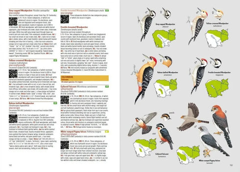 Birds of Cambodia (Cambodia Bird Guide Association, 2019) kovakantinen