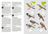 Birds of Cambodia (Cambodia Bird Guide Association, 2019) Flexi