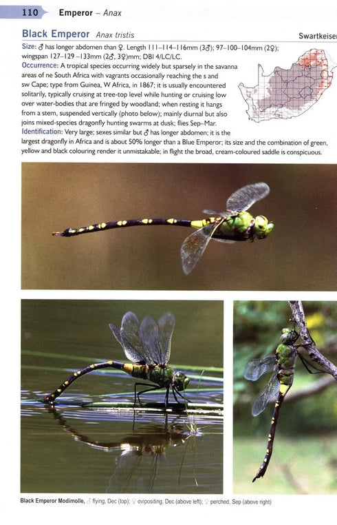 A Guide to the Dragonflies & Damselflies of South Africa - Tarboton 2019