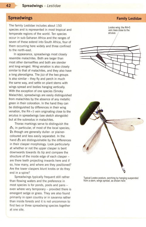 A Guide to the Dragonflies & Damselflies of South Africa - Tarboton 2019