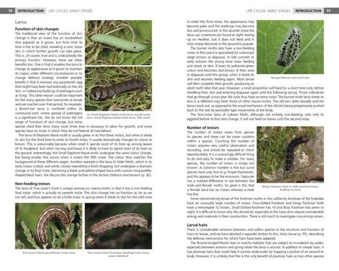 Field Guide to the Caterpillars of Great Britain and Ireland (Henwood)