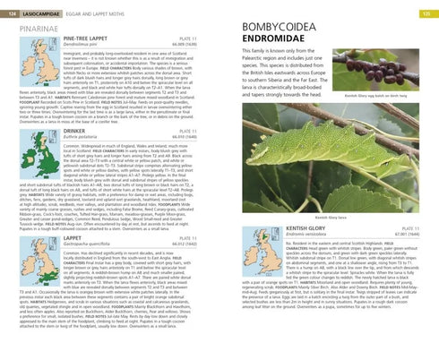 Field Guide to the Caterpillars of Great Britain and Ireland (Henwood)