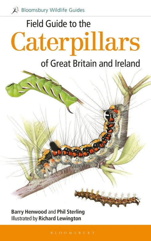 Field Guide to the Caterpillars of Great Britain and Ireland (Henwood)