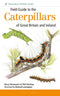 Field Guide to the Caterpillars of Great Britain and Ireland (Henwood)