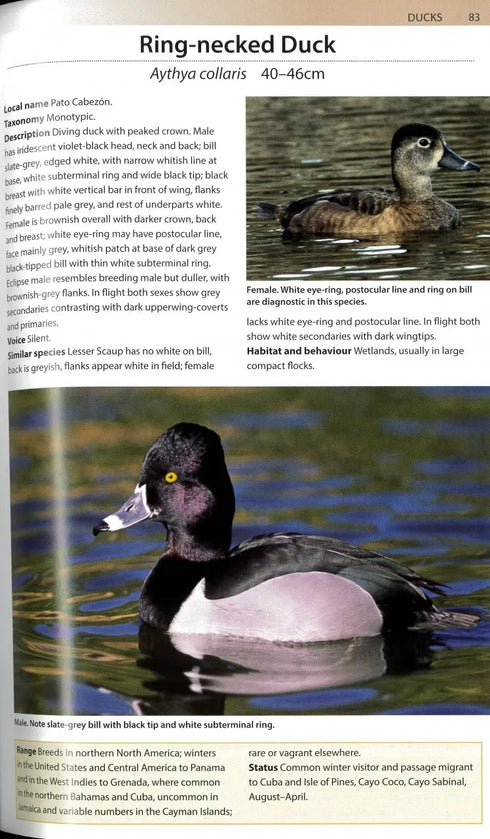 Birds of Cuba - A Photographic Guide (Kirkconnell) 2020