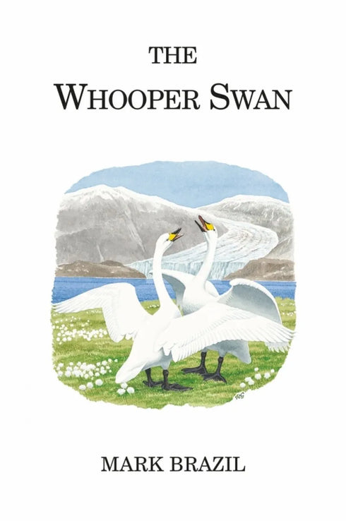 The Whooper Swan - Brazil,M. 2020