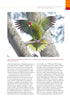 Parrots of the World - Pruett-Jones 2021