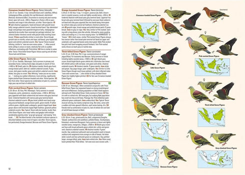 Birds of Indonesian Archipelago - Eaton, J. 2016, kovakantinen