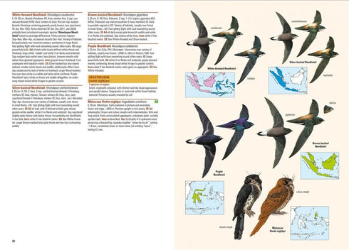 Birds of Indonesian Archipelago - Eaton, J. 2016, kovakantinen