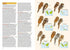 Birds of the Indonesian Archipelago 2. ed - Eaton 2021 Flexi