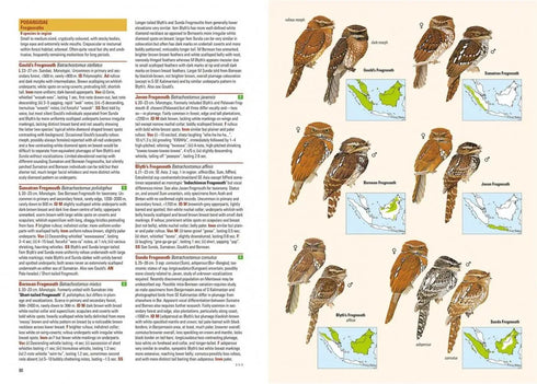 Birds of Indonesian Archipelago - Eaton, J. 2016, kovakantinen