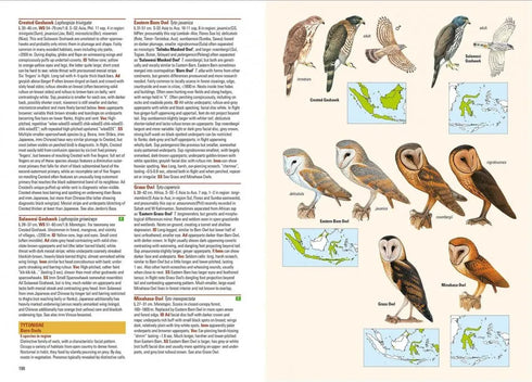Birds of Indonesian Archipelago - Eaton, J. 2016, kovakantinen