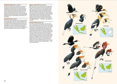Birds of Indonesian Archipelago - Eaton, J. 2016, kovakantinen