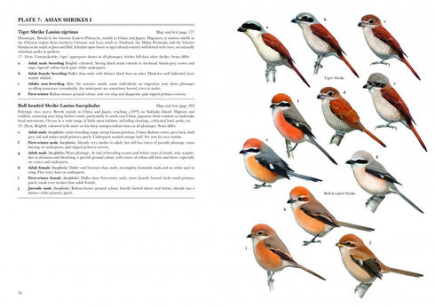 Shrikes of the World (Lefranc, N. 2022)