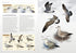 Gulls of Europe, North Africa, and the Middle East: An Identification Guide - Adriaens, P. 2021