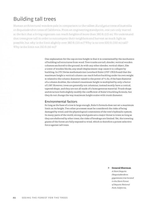 The World Atlas of Trees and Forests - Shugart,H. 2022