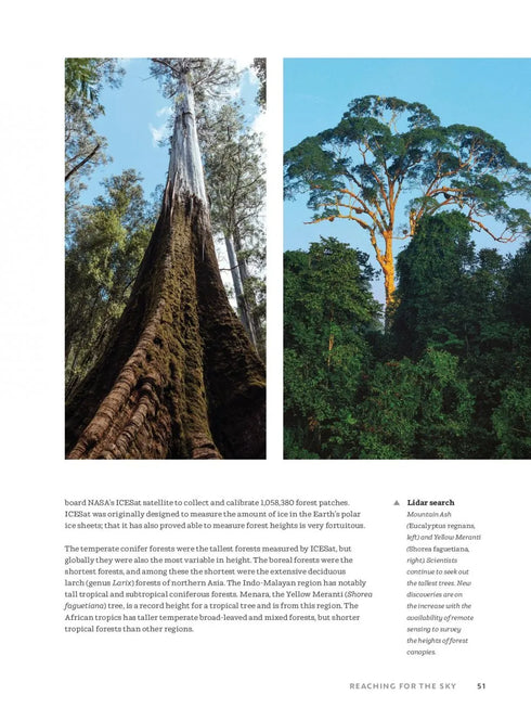 The World Atlas of Trees and Forests - Shugart,H. 2022