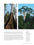 The World Atlas of Trees and Forests - Shugart,H. 2022
