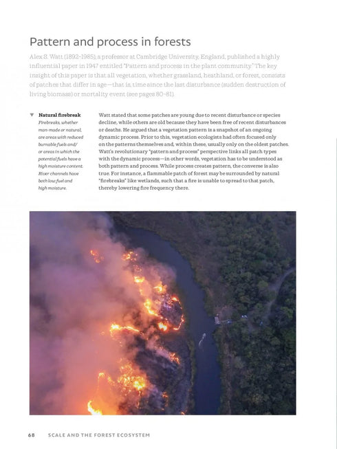 The World Atlas of Trees and Forests - Shugart,H. 2022