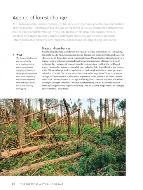 The World Atlas of Trees and Forests - Shugart,H. 2022