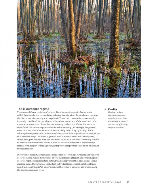 The World Atlas of Trees and Forests - Shugart,H. 2022