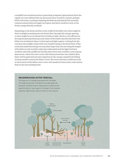 The World Atlas of Trees and Forests - Shugart,H. 2022