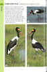 Birds of South Africa (Helm Wildlife Guides) paperikantinen - 2022