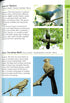 Birds of South Africa (Helm Wildlife Guides) paperikantinen - 2022