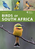 Birds of South Africa (Helm Wildlife Guides) paperikantinen - 2022