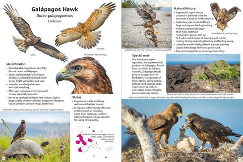 A Pocket Guide to Birds of Galapagos - De Roy 2022