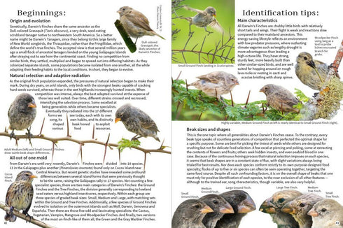 A Pocket Guide to Birds of Galapagos - De Roy 2022